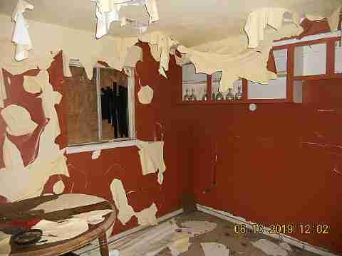 15017 Dolphin (9)_m.jpg